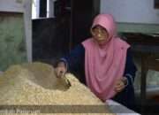 Kampung Tempe di Kabupaten Pasuruan Tembus Omzet Ratusan Juta Rupiah