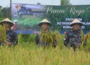 Wujud Nyata Tingkatkan Jumlah Produksi Pangan, Komandan Kodaeral XI Pimpin Panen Raya Padi di Sermayam II