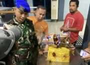 Sinergi Kodaeral IX dan Instansi Terkait Gagalkan Penyelundupan Satwa Dilindungi di Pelabuhan Yos Sudarso Ambon
