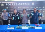 Polres Gresik Sita 10,8 Kg Ganja di Gudang Ekspedisi